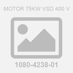 Motor 75Kw VSD 400 V